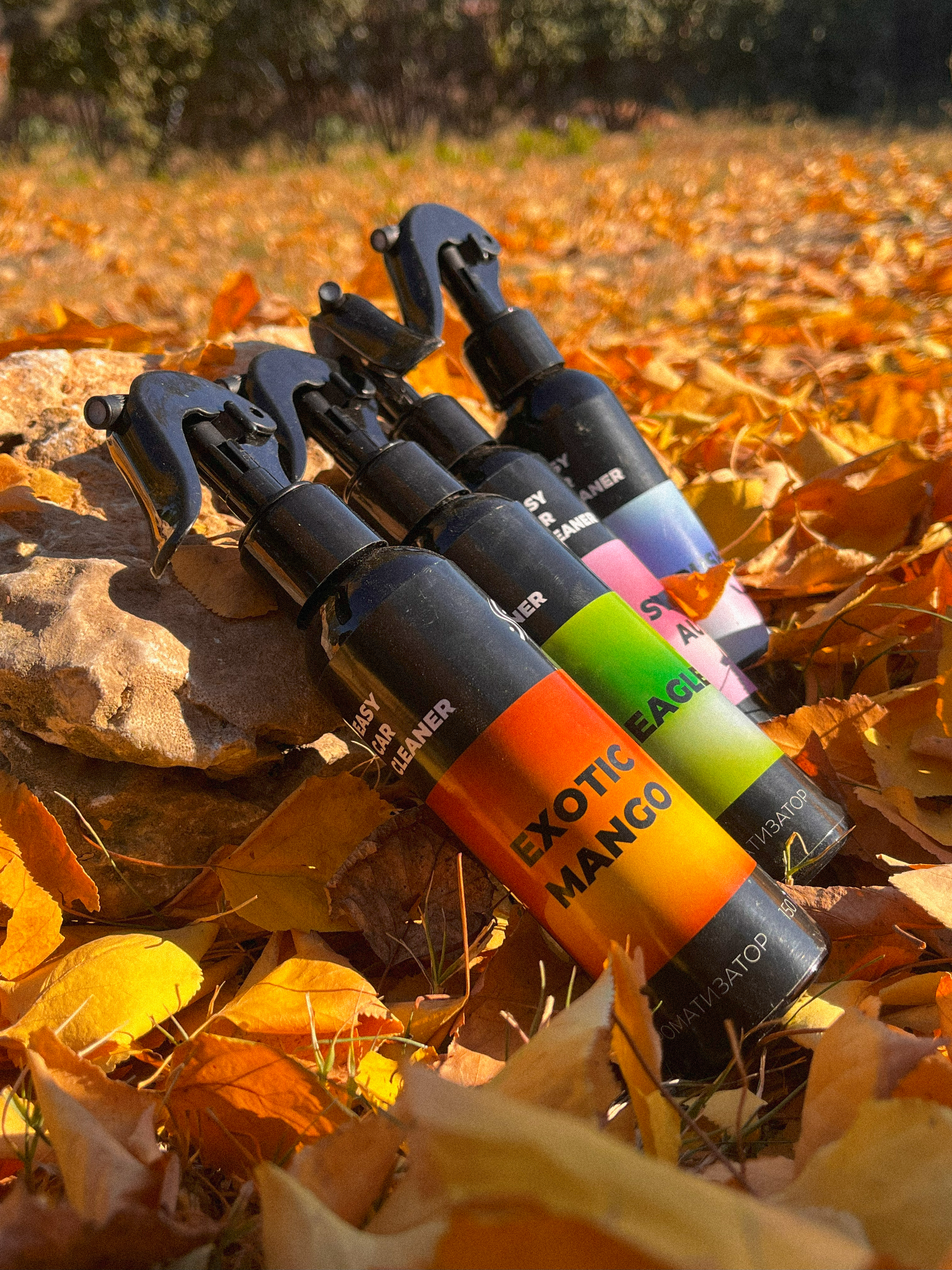 Full fragrance lineup laid on autumn leaves